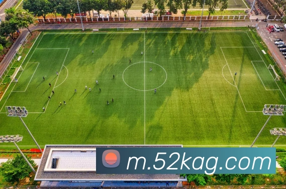 多媒体互动体验